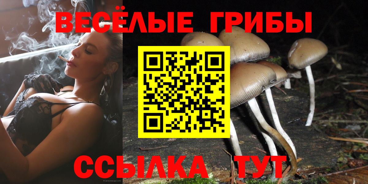 Псилоцибиновые грибы Psilocybine cubensis  Вход с VPN  Валуйки 